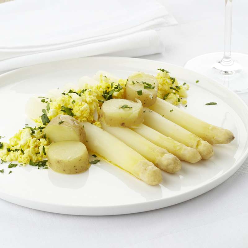 Thermomix TM7: Thermomix TM7 | Basisdemo met Jan | Paasmaandag