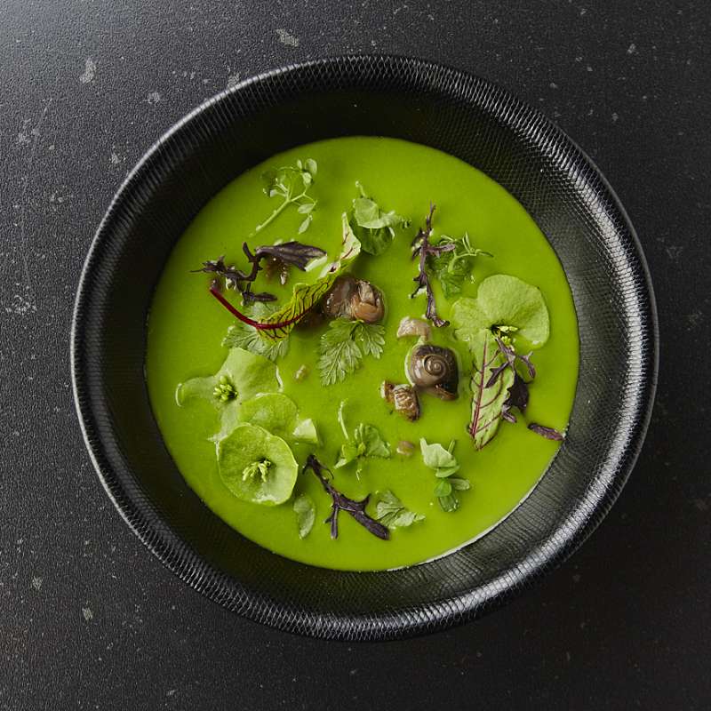 Thermomix TM7: Thermomix basisdemo  met de veelzijdige TM7