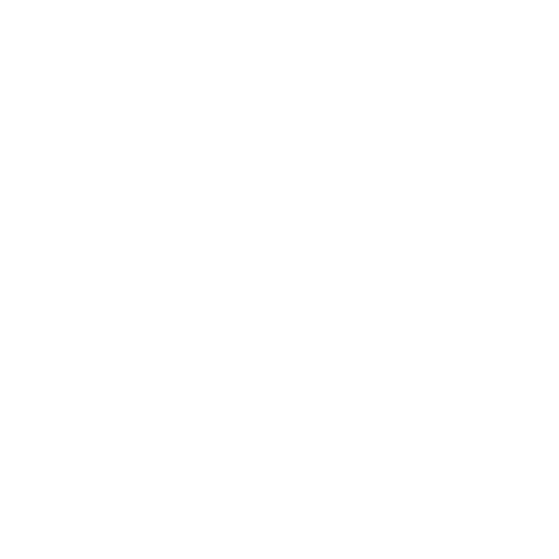 Official Big Green Egg Workshop